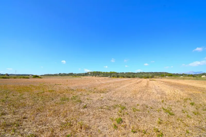 Set of plots totaling 19,622 m2, with the possibility of building a house in a privileged natural environment in Muro — photo 6