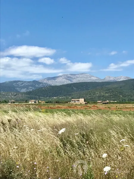 Plot — photo 5