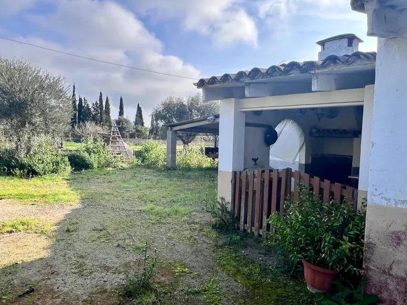 Rural or Farmhouse in Campanet, Province of Balearic Islands — photo 11
