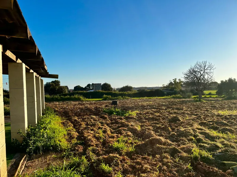 Agricultural land with construction in Son Ferriol — photo 3