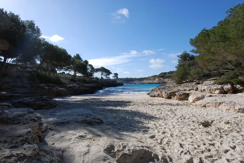 Urban plot with many possibilities above the marina of the port of Cala D'or — photo 4