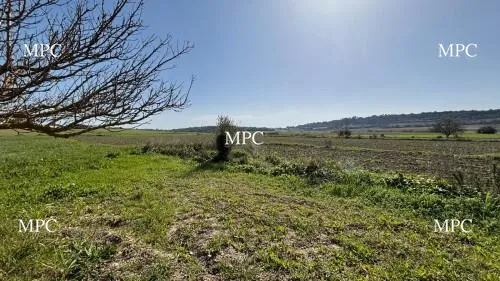 Country plot for sale in Sant Llorenç des Cardassar — photo 1