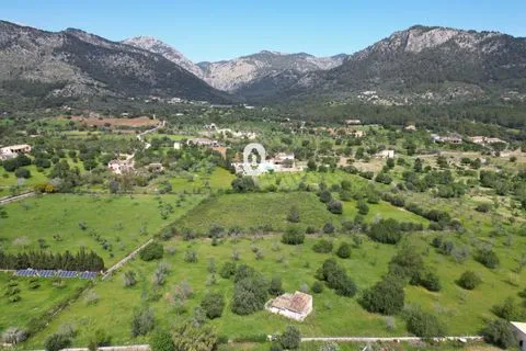 Land in Selva, Mallorca — photo 10