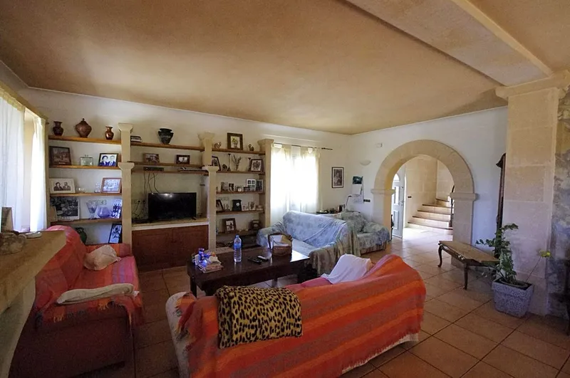 Rustic house with pool + guest house — photo 7