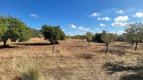 Terreno — photo 7