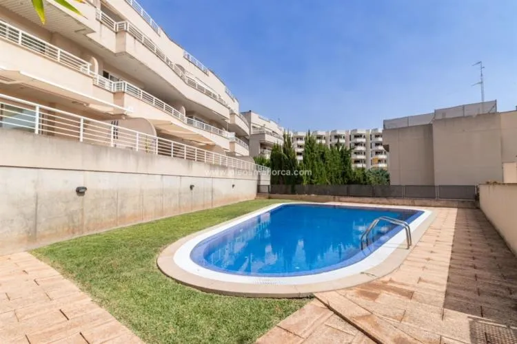 Apartment in Palma de Mallorca — photo 3