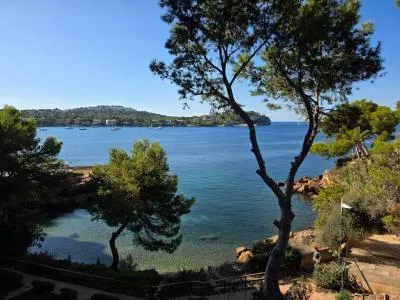 Apartment in Calvià (Santa Ponsa) with 45 m² built surface, 5 m² terrace, 1 room, 1 bathroom, 15... — photo 3