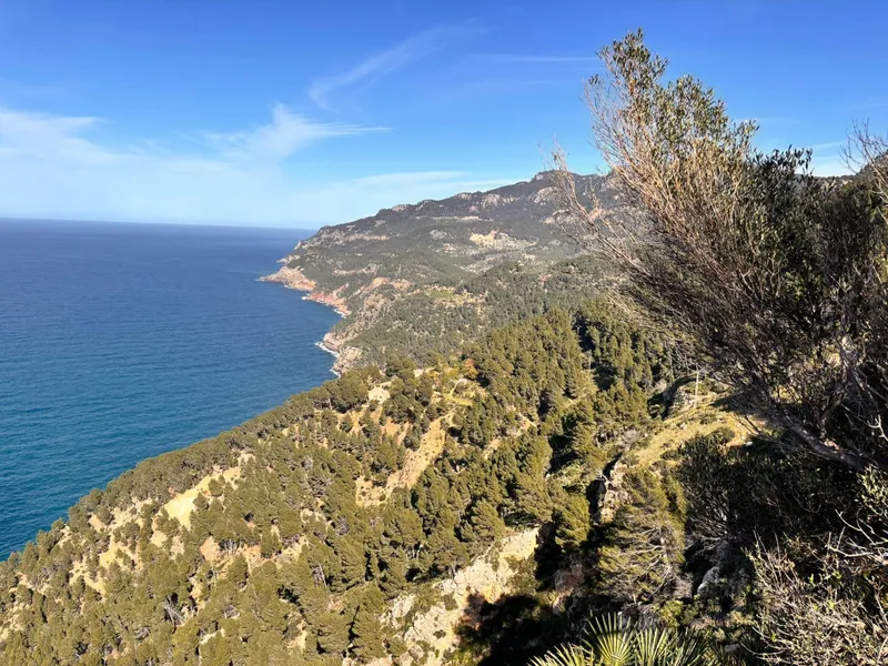 Rustic Plot in Son Fortuny – Estellencs, in the Heart of the Serra de Tramuntana — photo 12