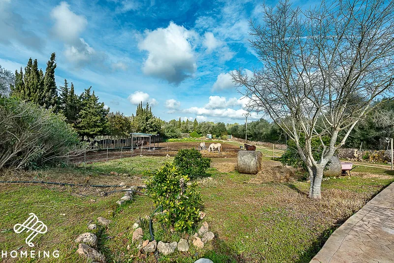 Beautiful rustic estate with 3-bedroom house, pool and large storage room — photo 7