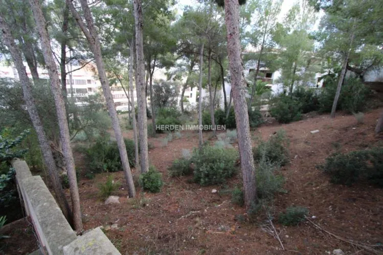 Building Plot for Sale in Santa Ponsa, Mallorca — photo 5