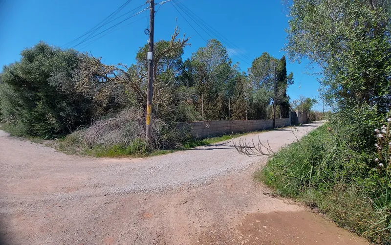 I-5037 Rustic Plot between Campos and Sa Ràpita: Nature and Privacy a Step from the Sea — photo 2