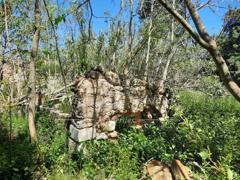 Mansion in Binissalem, Province of Balearic Islands — photo 10
