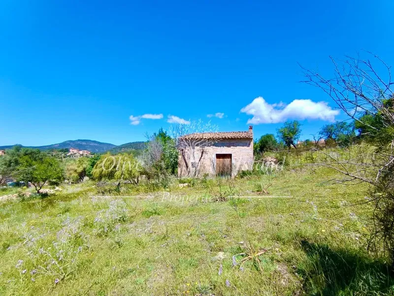 Land in Alaro, Mallorca — photo 4