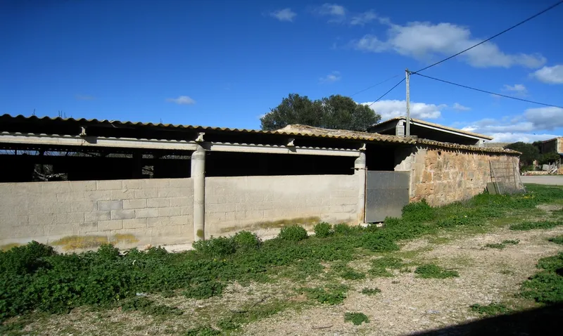 Rustic country property of 1,250,000 m² with buildings in the vicinity of Palma city — photo 12