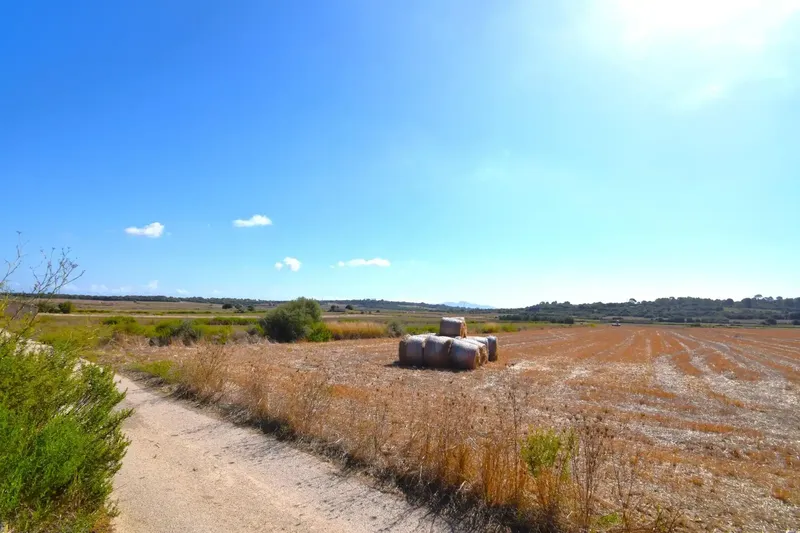 Set of plots totaling 19,622 m2, with the possibility of building a house in a privileged natural environment in Muro — photo 5