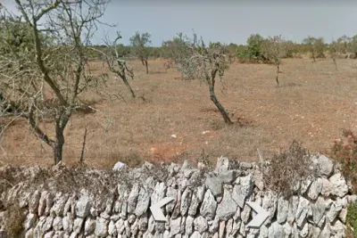 Building plot with sea view in Santanyi — photo 1