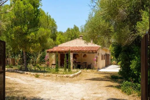 Canyamel, first occupancy after renovation: long-term rental finca in Canyamel — photo 3