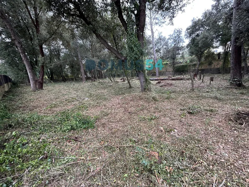 Urban plot in Son Toni Sa Pobla — photo 8
