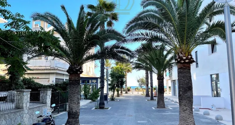 Exclusive penthouse in Les Meravelles - 50m to Playa de Palma — photo 8