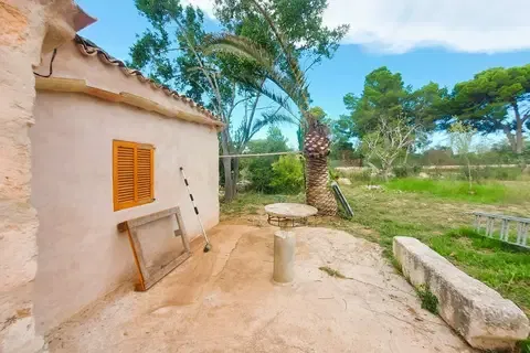 Cortijo in Muro, Mallorca — photo 10