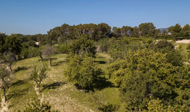 A Haven in the Tramuntana: Plot with Project and License Ready to Build — photo 7