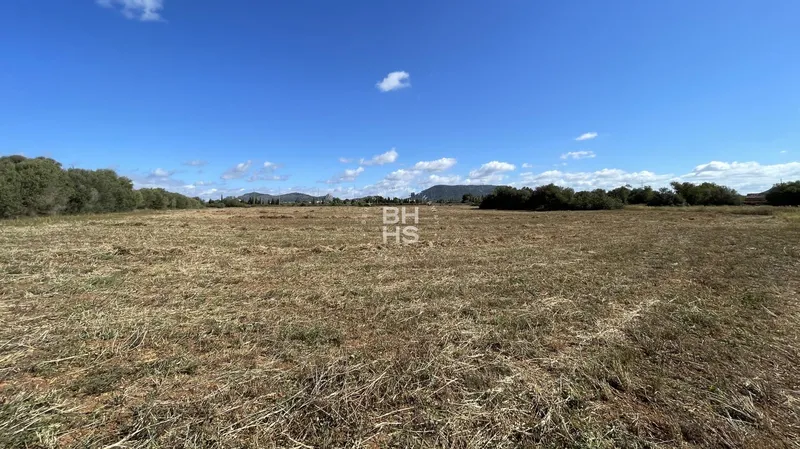 Country plot for sale in Llucmajor — photo 4