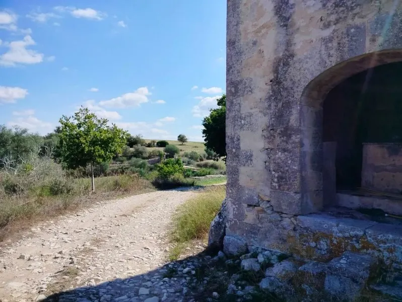 Land in Palma de Mallorca, Province of Balearic Islands — photo 2