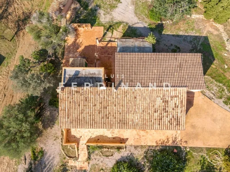 Luxury home in Santa Maria del Camí, Province of Balearic Islands — photo 6