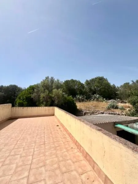 Finca with a large plot - near Palma! — photo 4