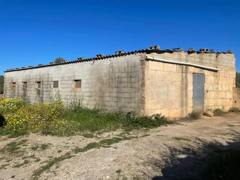 Rustic Farmhouse with Agricultural Classification, Located in the Sineu Area of Mallorca, Known for Its Pleasant Mediterranean Climate, It Has a C — photo 2