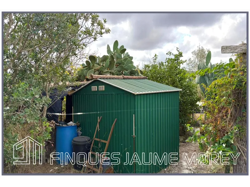 Rustic house — photo 5