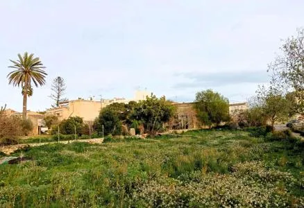 Building Site - Santanyí (Alquería Blanca - Calonge) — photo 2