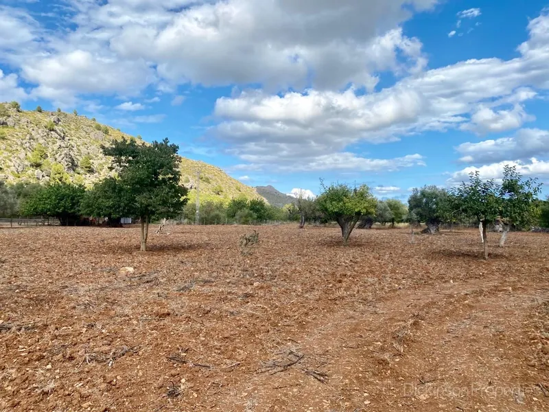 House for sale in Pollença, Mallorca, Baleares, Spain — photo 11