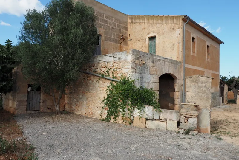 Rustic finca to renovate in San Lorenzo — photo 2