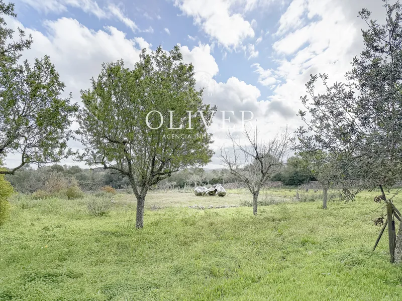 Rustic finca in Algaida — photo 11