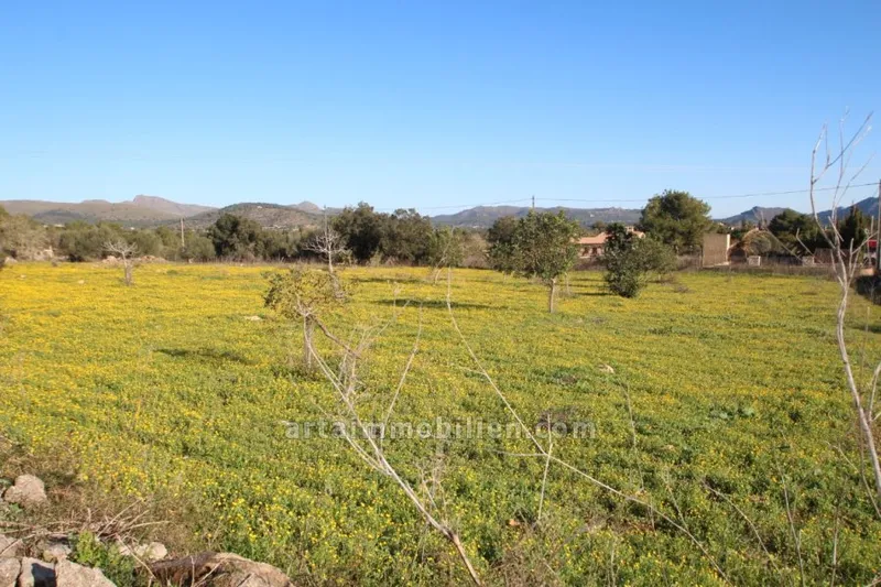 Finca in Arta — photo 1