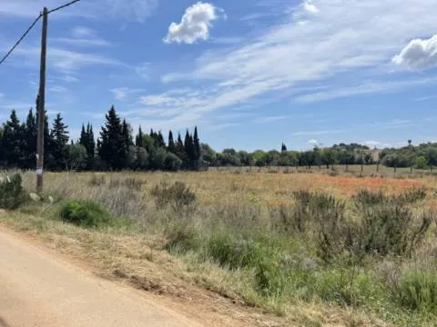 Plot — photo 2