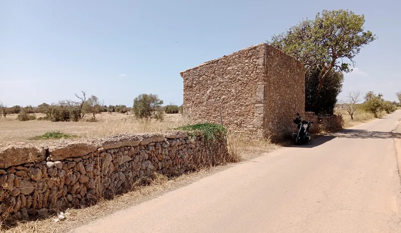 Dream Plot Near Campos: 19,934 m² of Tranquil Mallorca Land — photo 10
