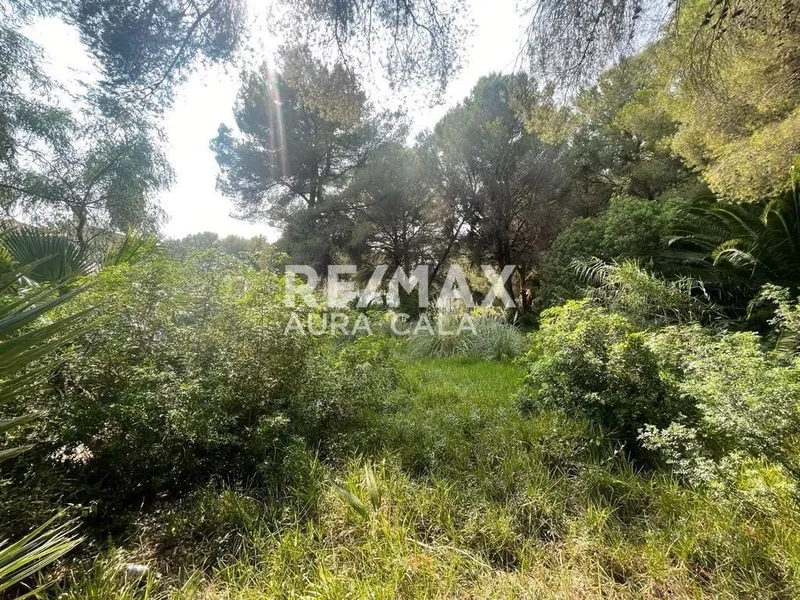 Plot — photo 3