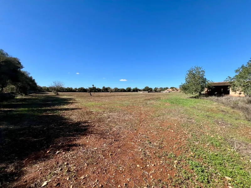 Spacious Plot in Campos with Project and Foundations Completed — photo 12