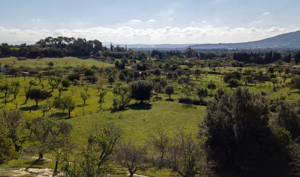 A Haven in the Tramuntana: Plot with Project and License Ready to Build — photo 4