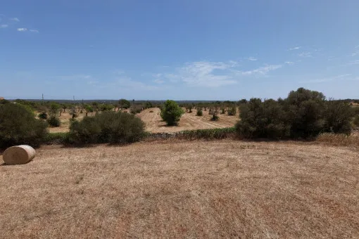 Campos, Attractive Building Plot with Panoramic Open Views near Campos — photo 5