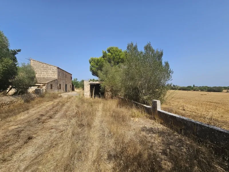 Finca, many outbuildings and land near Portocristo - Son Carrio — photo 1
