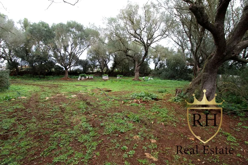 Rustic estate with possibilities to build the house of your dreams — photo 10