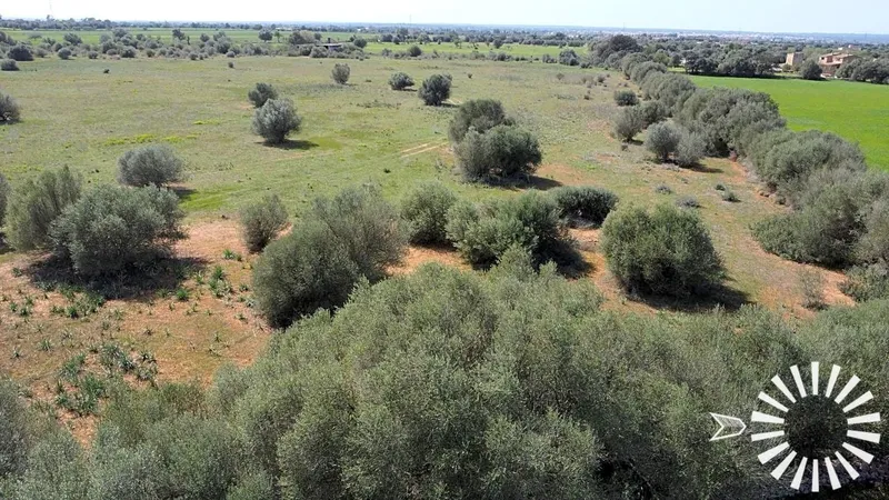 Country Estate for sale in Campos of 62000 m2 — photo 8