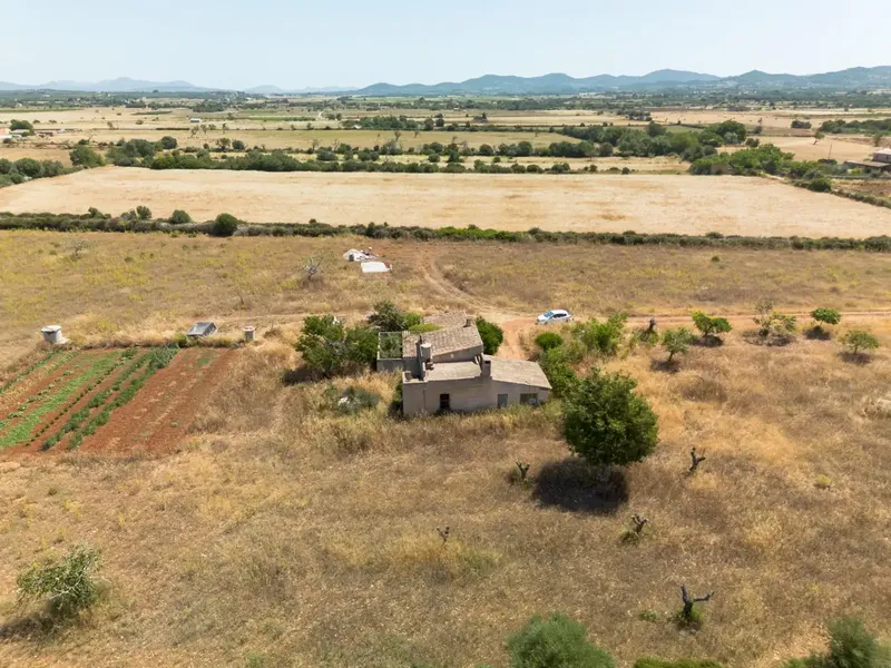 In an environment of absolute calm, surrounded by nature and with the charm of the rural landscape of Felanitx, this magnificent estate extends — photo 2