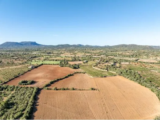 Rustic finca, 113000 m2 — photo 1