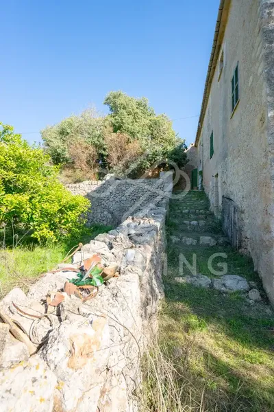 The Castell d'Amos estate, located in Costitx, has an area of 252,000 square meters and borders the municipalities of Sineu and Llor — photo 6