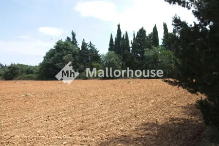 Rustic property - Muro (Centro), Built Surface 1 m², Plot Surface 8000 m² — photo 2