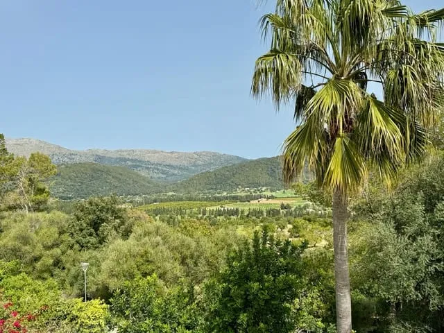Villa for rent in Campanet, Mallorca — photo 4